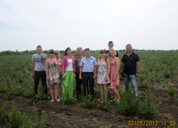Розсадник декоративних і лісових культур в урочищі ,,Дальницький ліс,, Великодолинського ЛГ